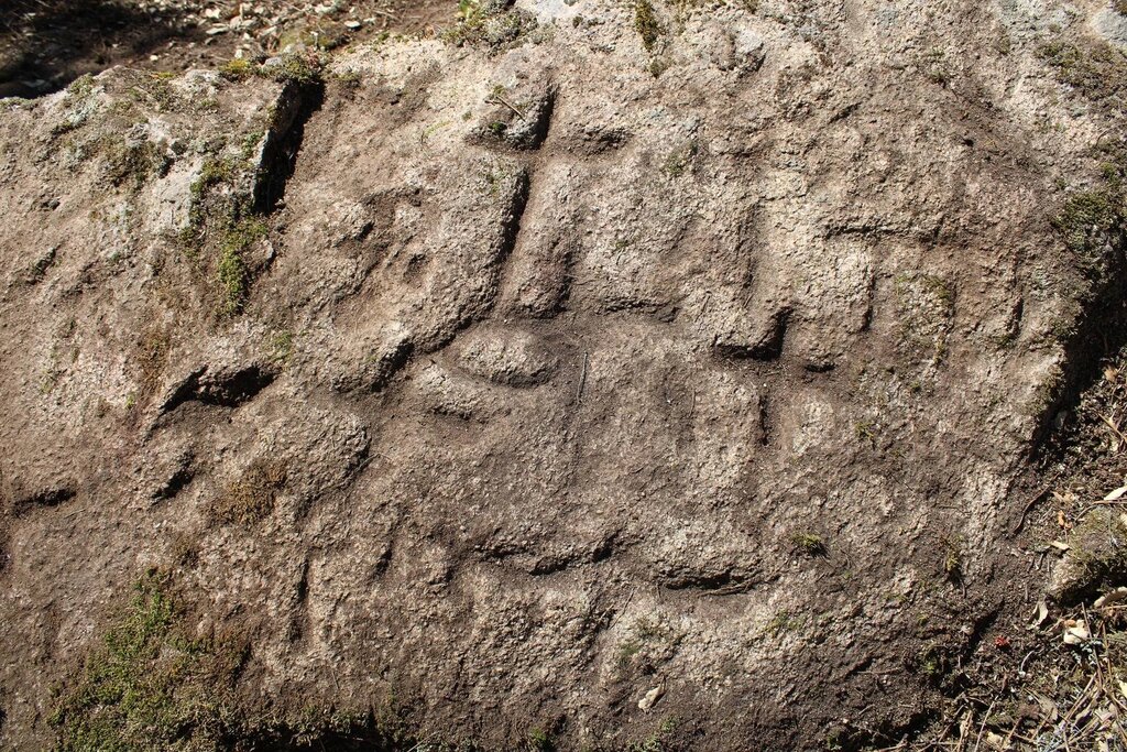 POSSÍVEIS MARCAS TERRITORIAIS DESCOBERTAS EM PINHEIROS 