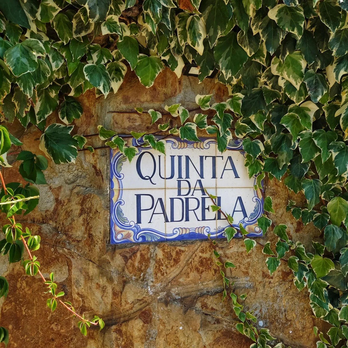 Quinta da Padrela